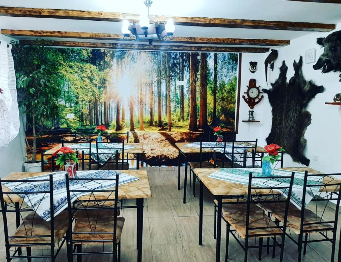 Appartamento Casa Florilor Barcut Esterno foto