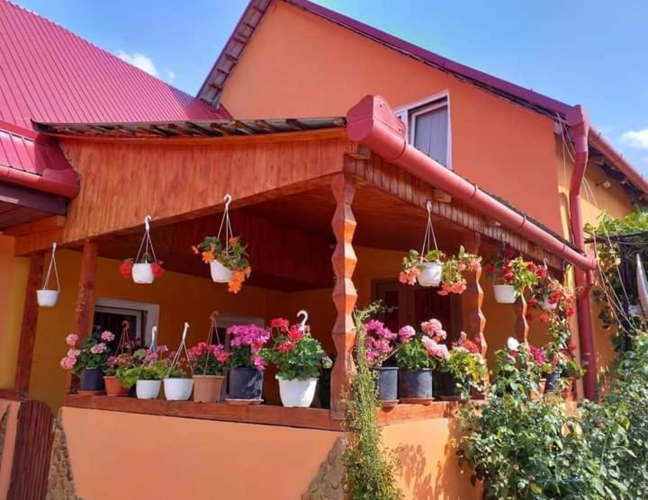 Appartamento Casa Florilor Barcut Esterno foto
