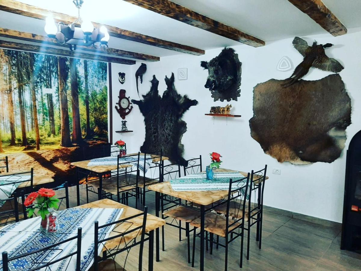 Appartamento Casa Florilor Barcut Esterno foto