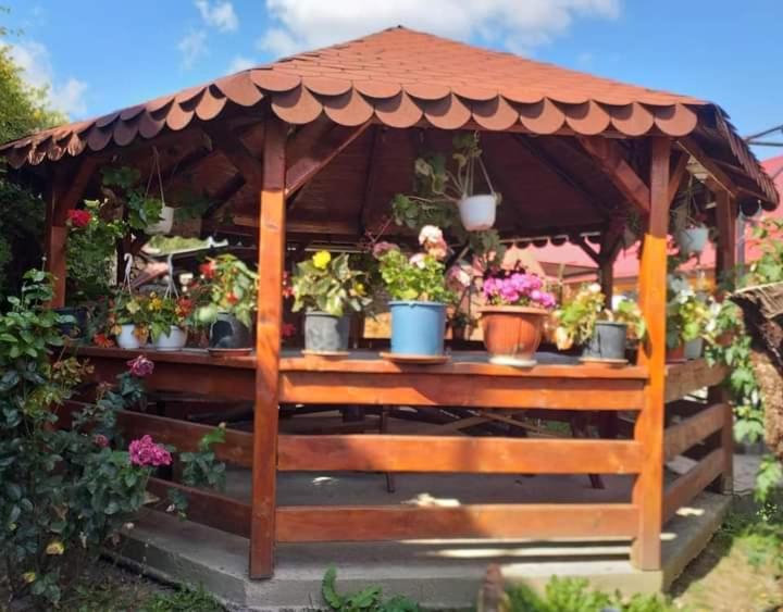 Appartamento Casa Florilor Barcut Esterno foto