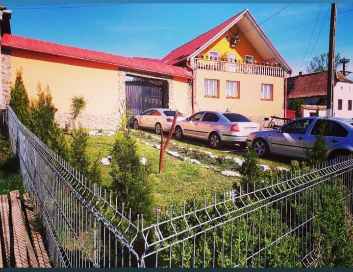 Appartamento Casa Florilor Barcut Esterno foto