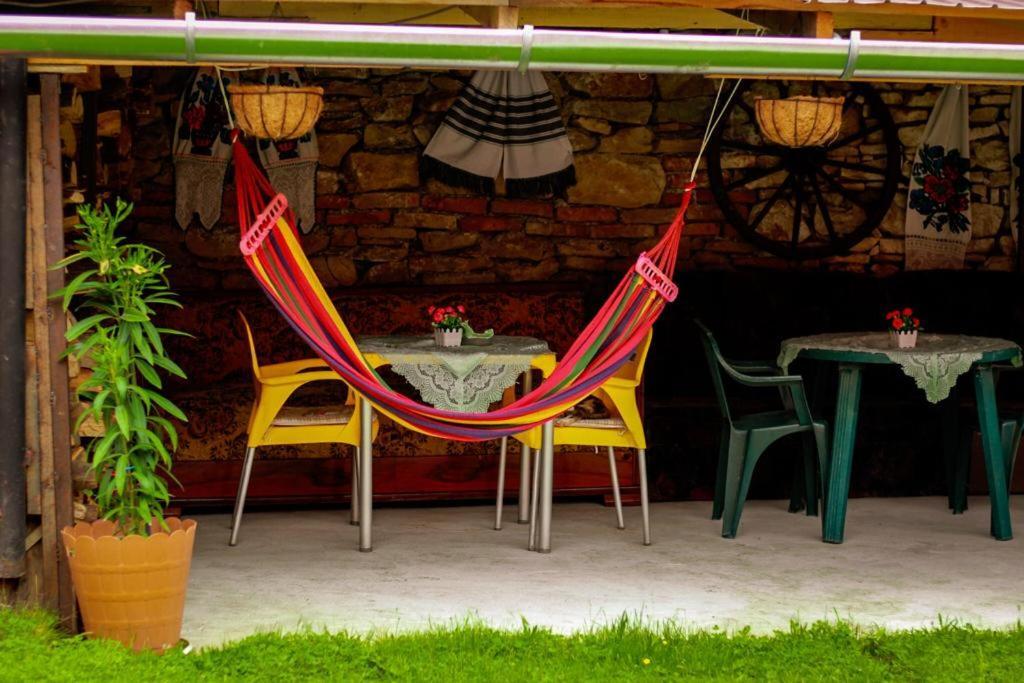 Appartamento Casa Florilor Barcut Esterno foto