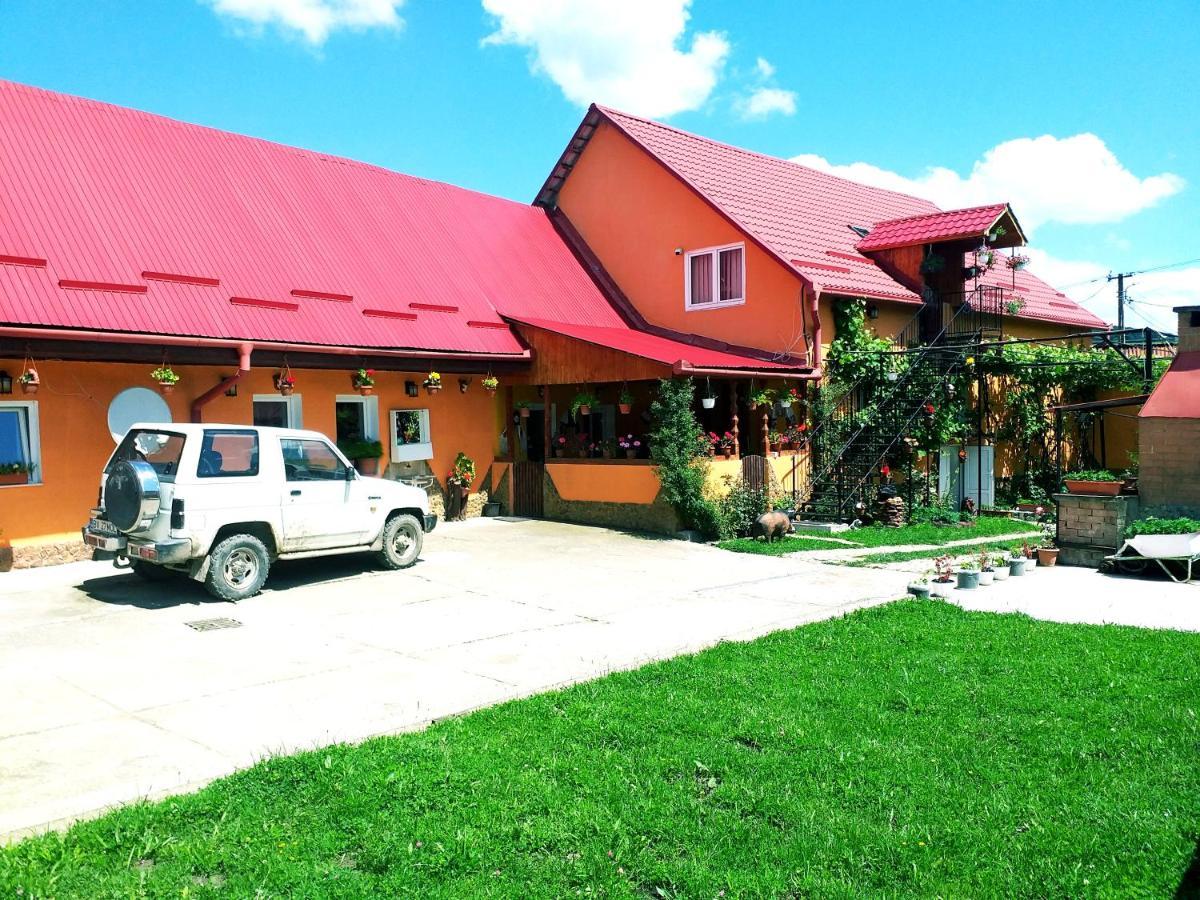 Appartamento Casa Florilor Barcut Esterno foto
