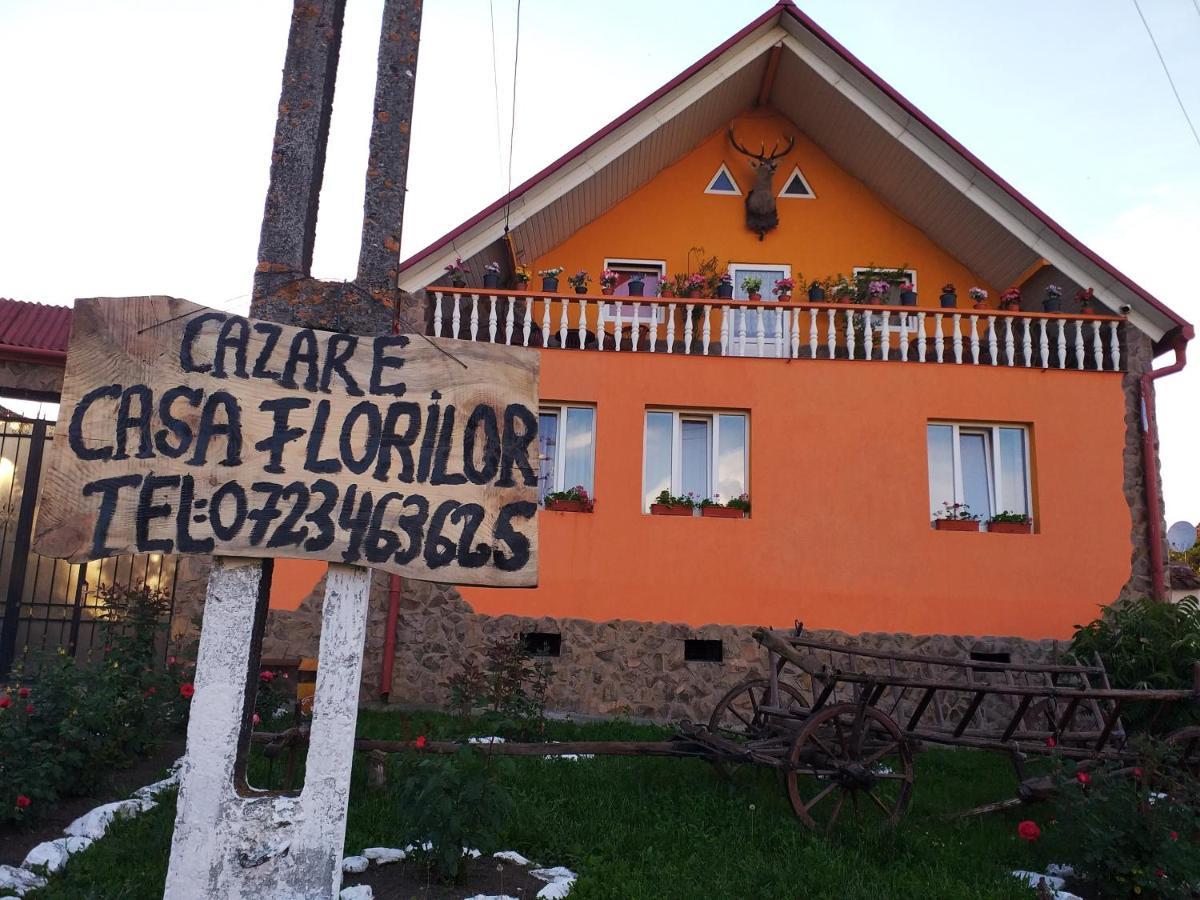 Appartamento Casa Florilor Barcut Esterno foto
