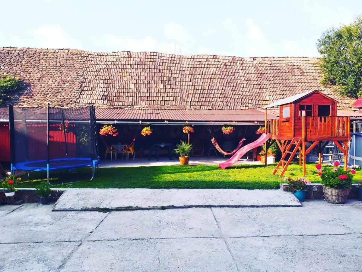 Appartamento Casa Florilor Barcut Esterno foto