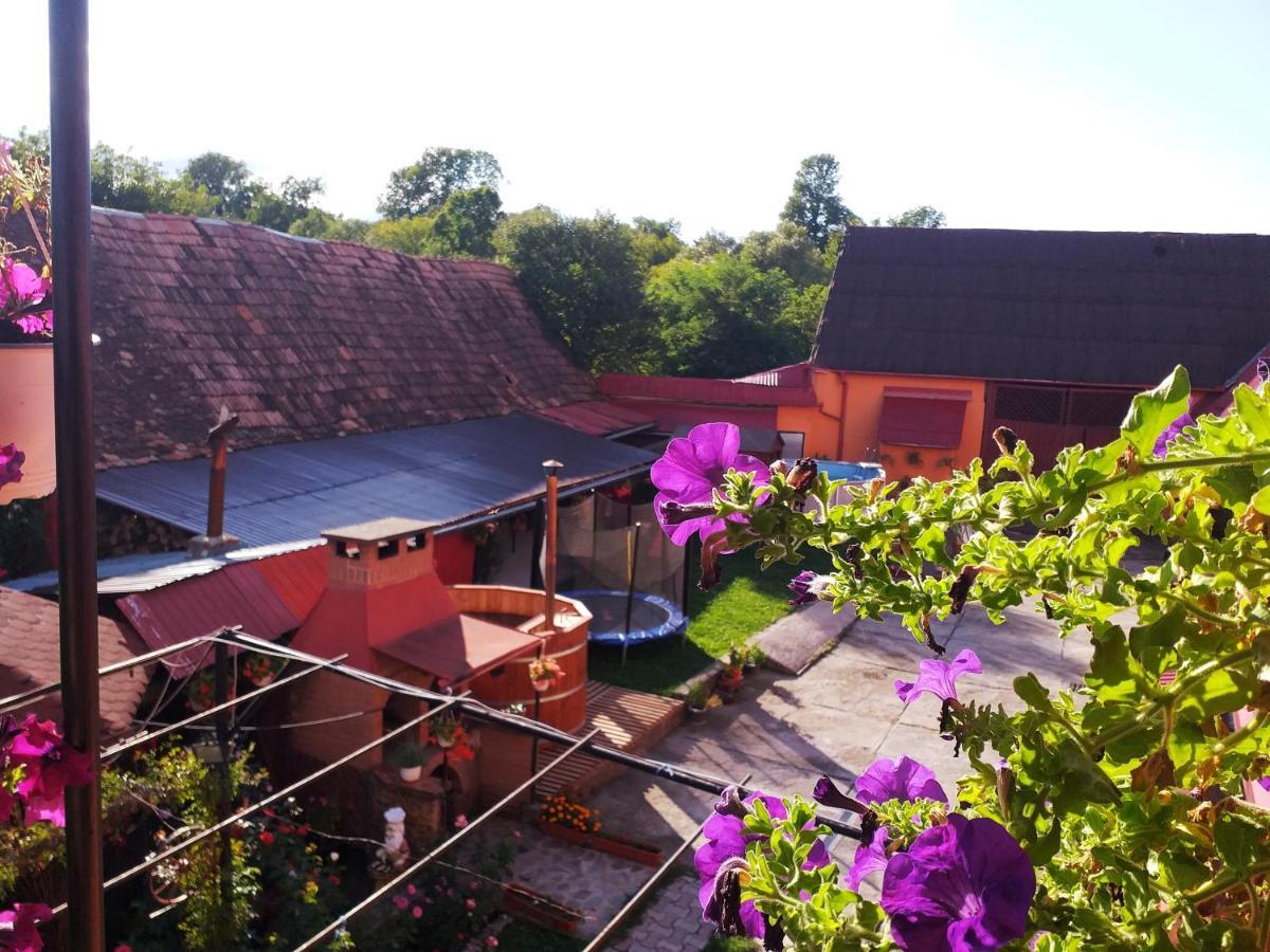 Appartamento Casa Florilor Barcut Esterno foto