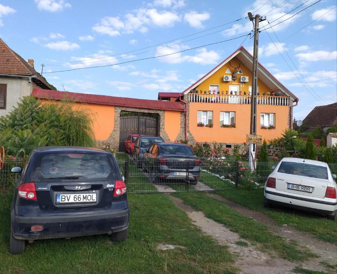 Appartamento Casa Florilor Barcut Esterno foto