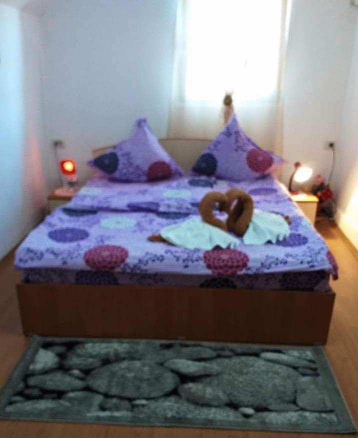 Appartamento Casa Florilor Barcut Esterno foto