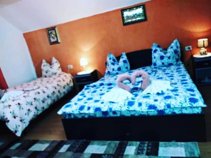 Appartamento Casa Florilor Barcut Esterno foto
