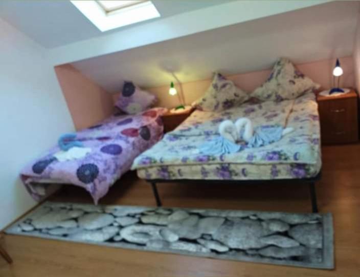 Appartamento Casa Florilor Barcut Esterno foto