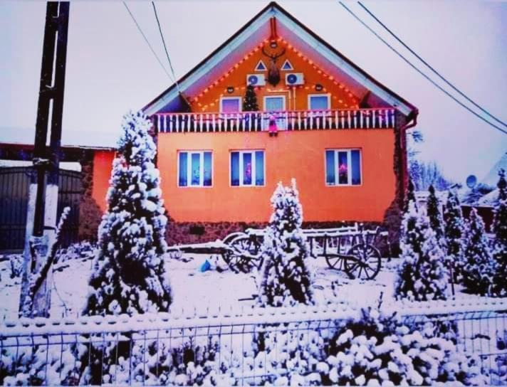 Appartamento Casa Florilor Barcut Esterno foto