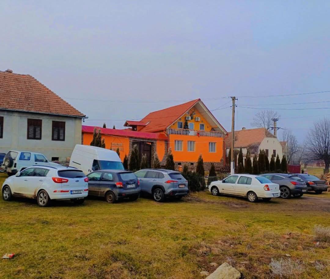 Appartamento Casa Florilor Barcut Esterno foto