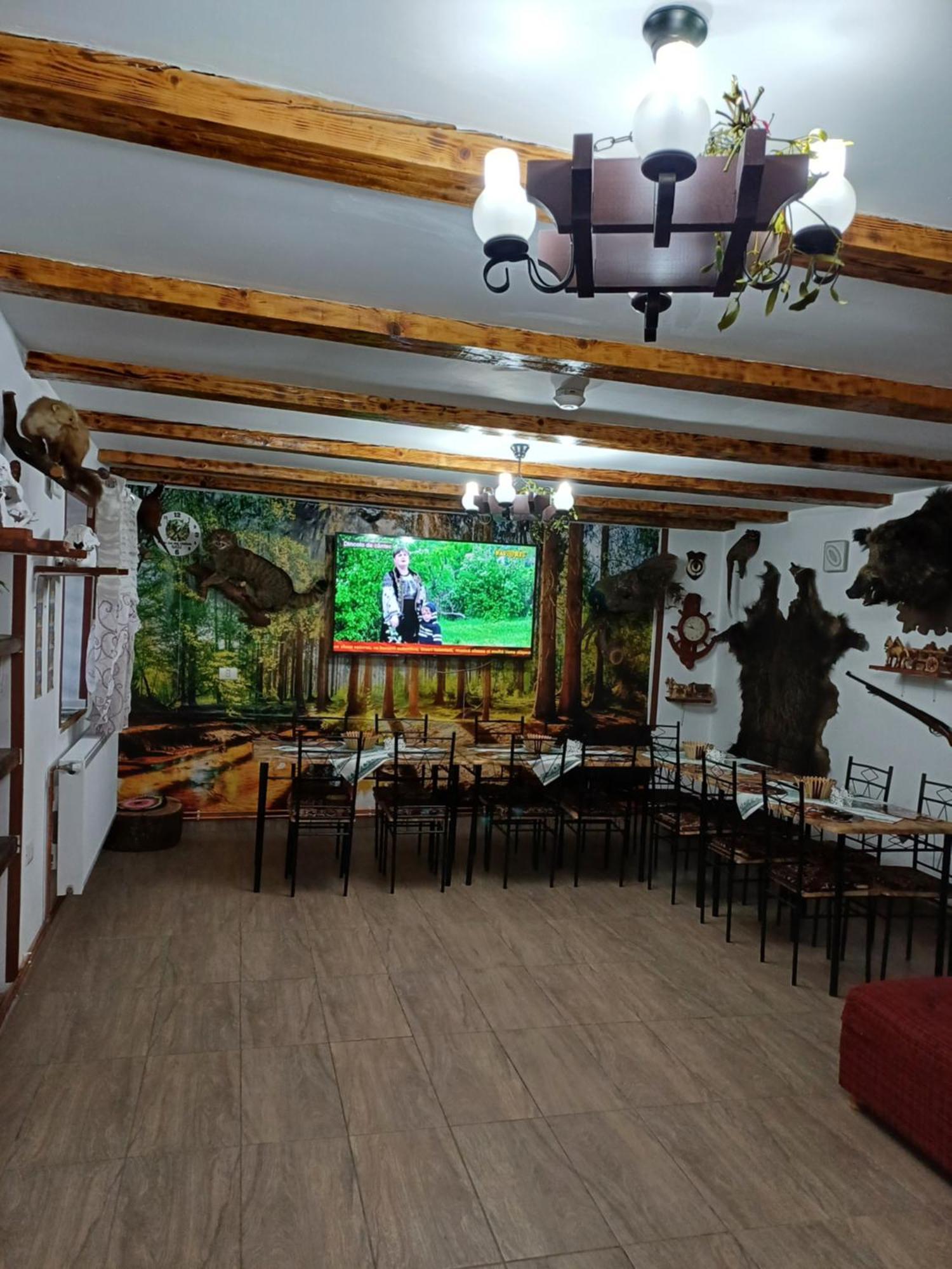 Appartamento Casa Florilor Barcut Esterno foto