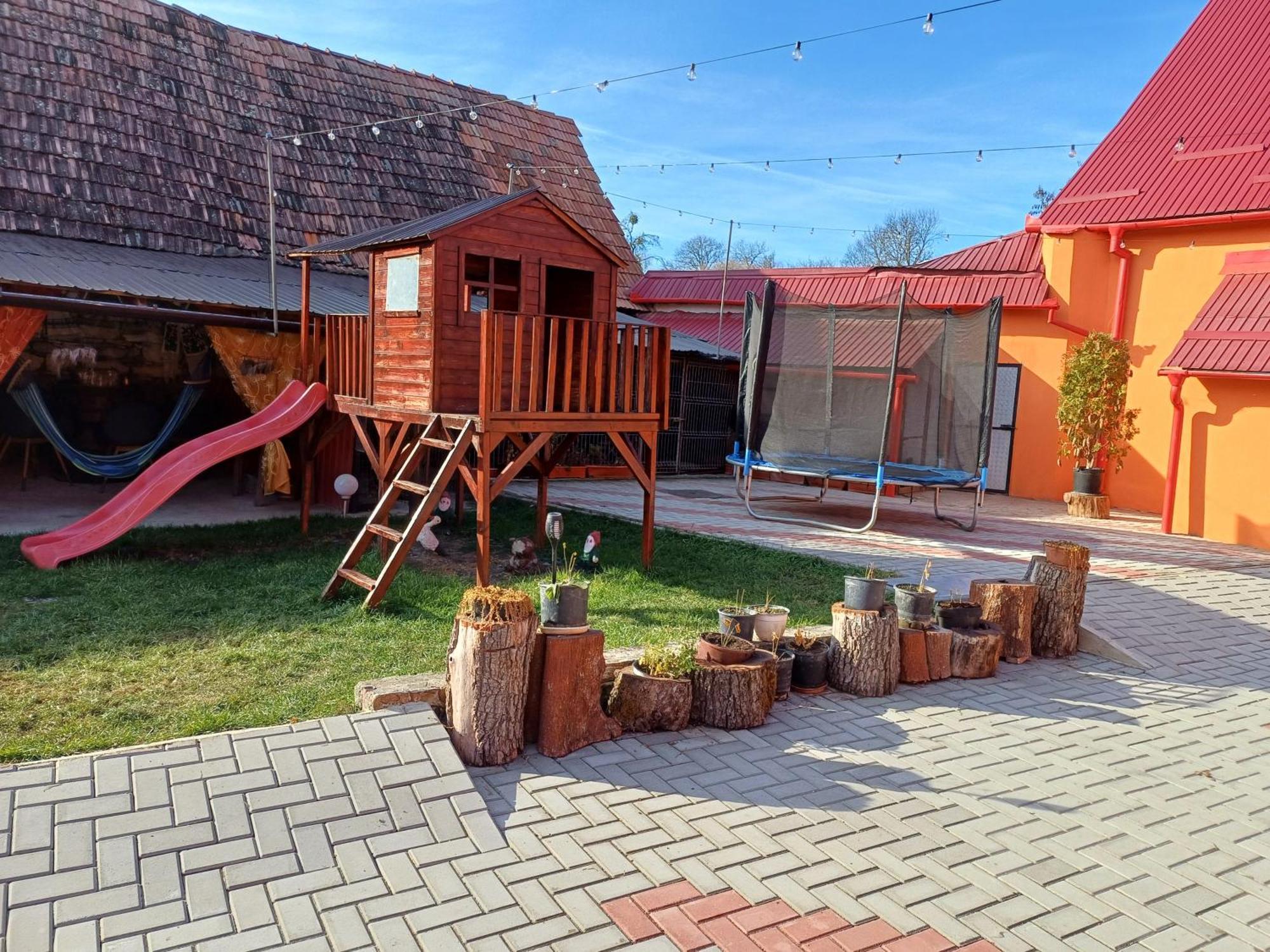 Appartamento Casa Florilor Barcut Esterno foto